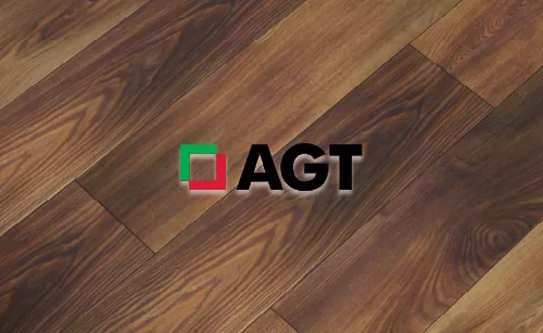AGT — business partner of Özkan Company
