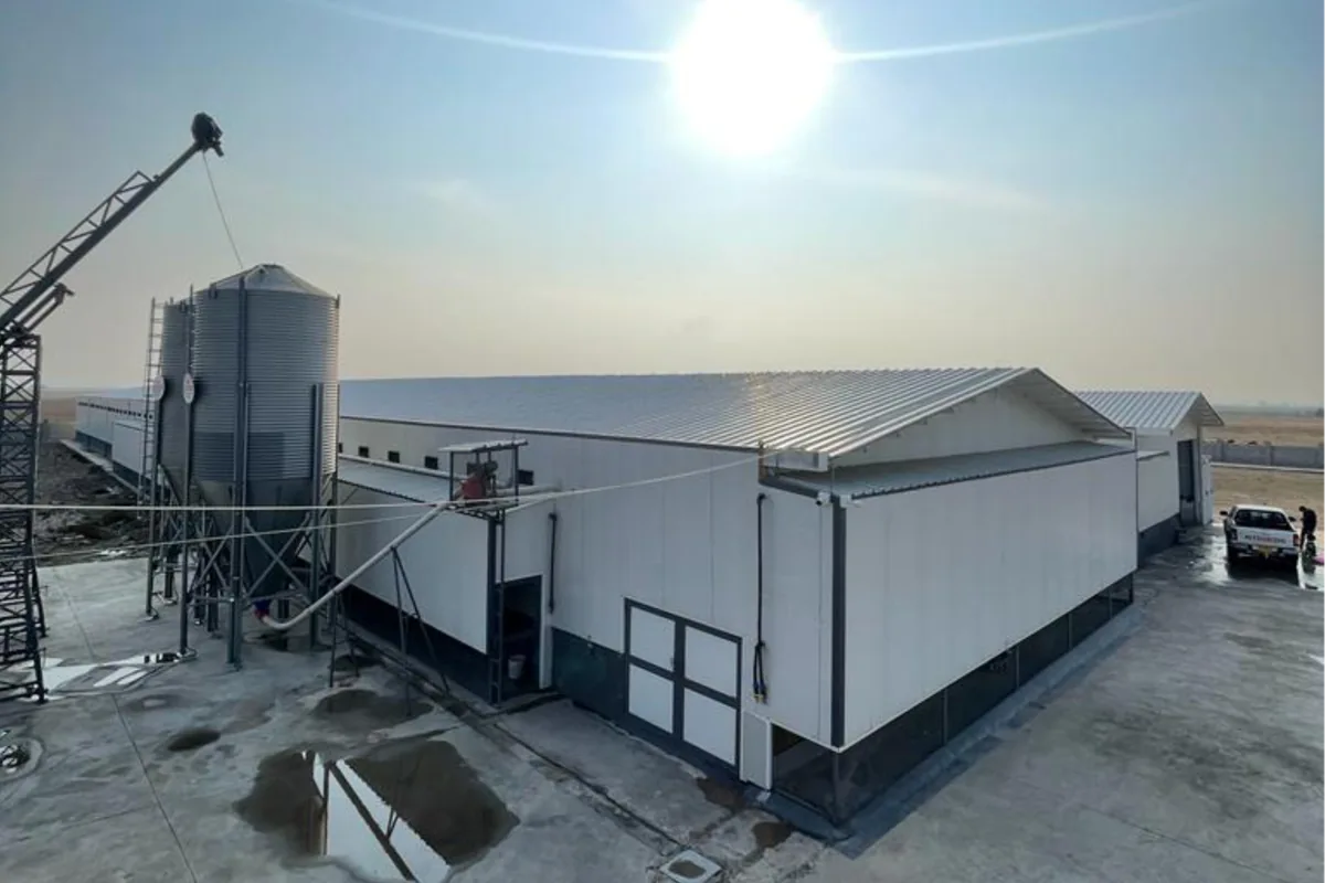 Elif Farm egg production